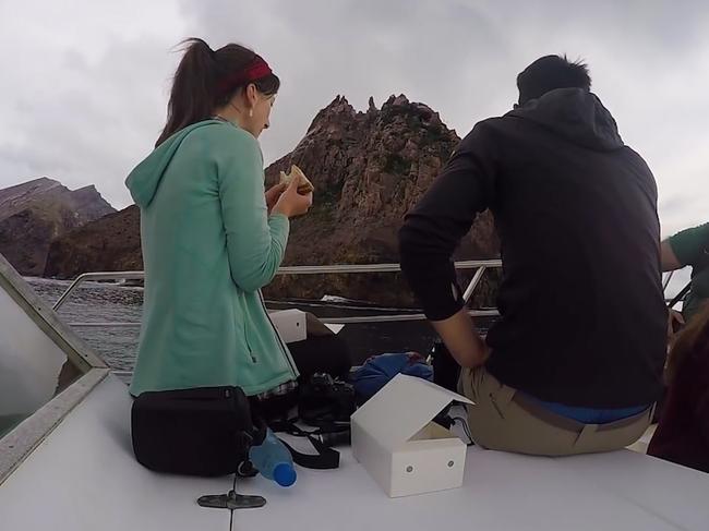 The packed lunch former tourists enjoyed on the White Island boat tour of the volcano. Picture: Still from White Island Active Volcano Tour in Whakatane – New Zealand's Biggest Gap Year – Backpacker Guide, 2018, from NZ Pocket Guide YouTube Channel