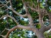 Community reels after death of South African woman in Darwin
