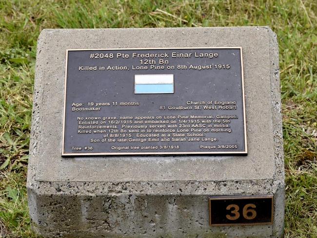 World War I soldier Frederick Lange’s plaque on the Soldiers' Memorial Avenue in Hobart.