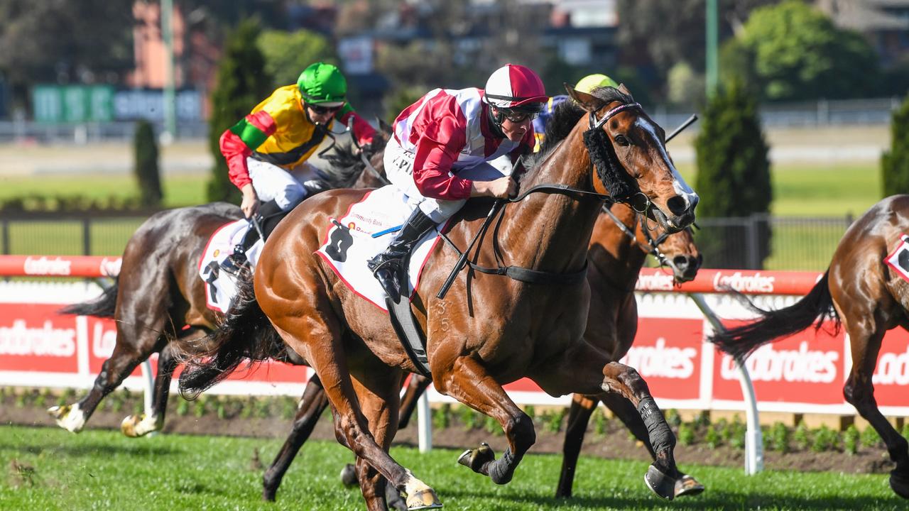 Strathmore Community Bendigo Bank Stakes