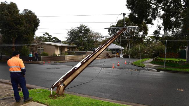 Power lines at Lockleys brought down by wild weather in Adelaide this week. Picture: Campbell Brodie