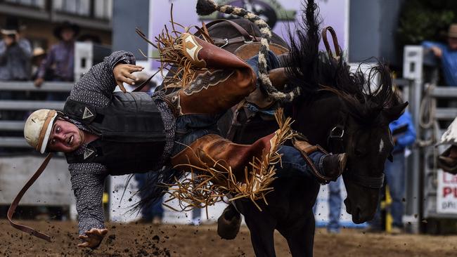 A horse throws his ride off in spectacular fashion. Picture: Paul McIver