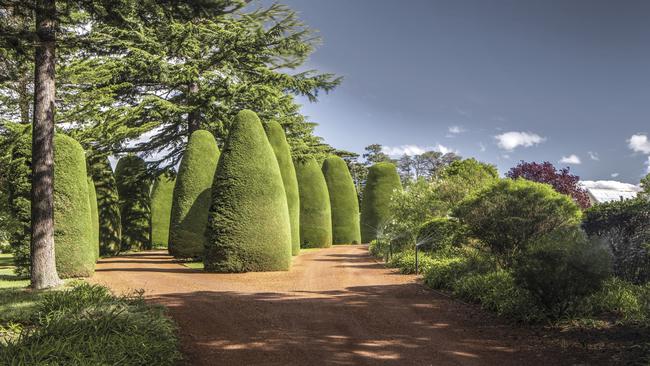 Formal topiary