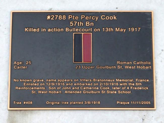 World War I soldier Percy Cook is commemorated at tree #408 on the Soldiers' Memorial Avenue in Hobart.