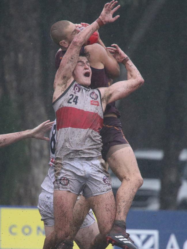 Senior QAFL Round 7 action: Palm Beach Currumbin v Redland-Victoria Point Sharks PBC Pic Mike Batterham