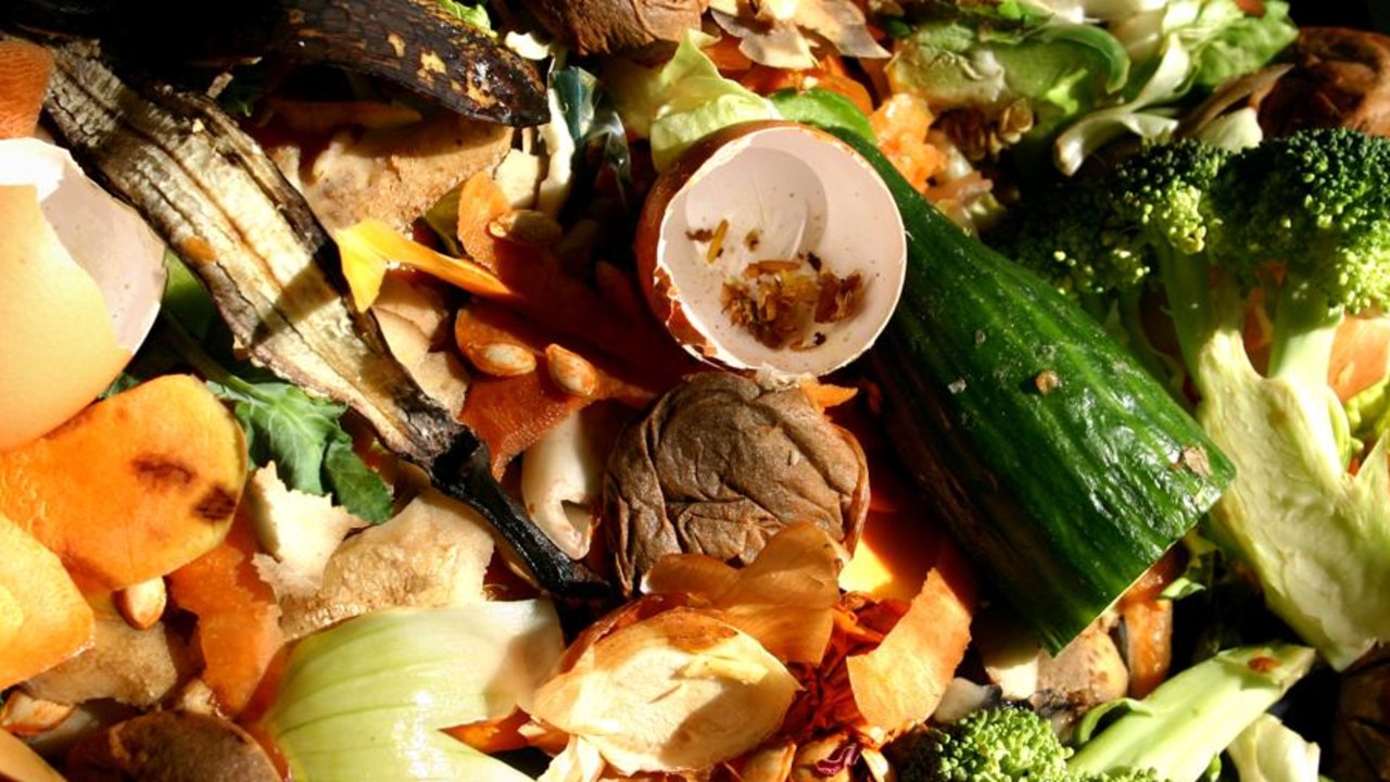 Turning Food Waste Into Power | KidsNews