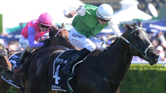 Bobbing has been well backed to win at Newcastle. Picture: AAP