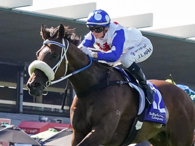 Pounding ridden by Jamie Kah wins the The Big Screen Company T.S. Carlyon Cup at Ladbrokes Park Hillside Racecourse on February 11, 2023 in Springvale, Australia. (Photo by Scott Barbour/Racing Photos via Getty Images)