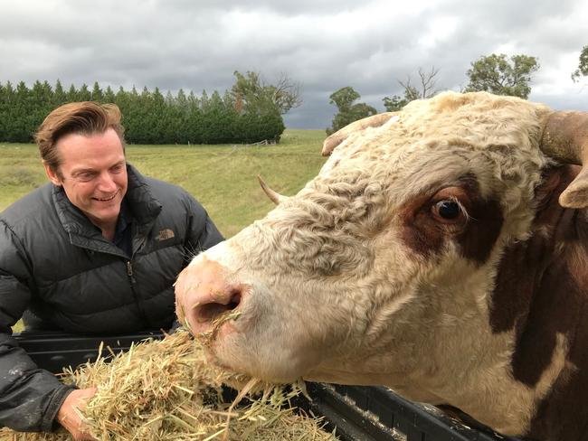 Glen Wellham with Wellington the bull. Picture: Penny Hunter