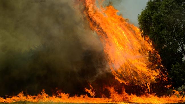 The 2014 fires at Gisborne and Riddells Creek threatened townships.