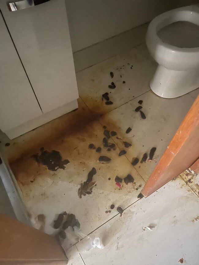 The shocking state of Ms Williams’ toilet.