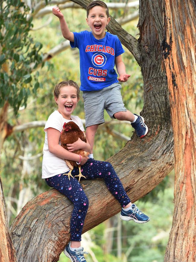 Resilient kids Amelia, 7, and Owen, 6. Picture: Josie Hayden