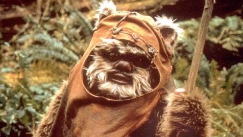 Yes they sold a million stuffed toys, but the Ewoks were pretty annoying. Still are.