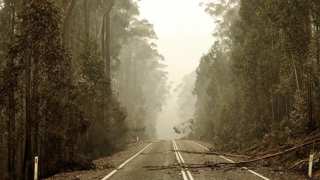 Burnt trees and debris cover the Princes Highway between Orbost and Cann River. Picture: Getty