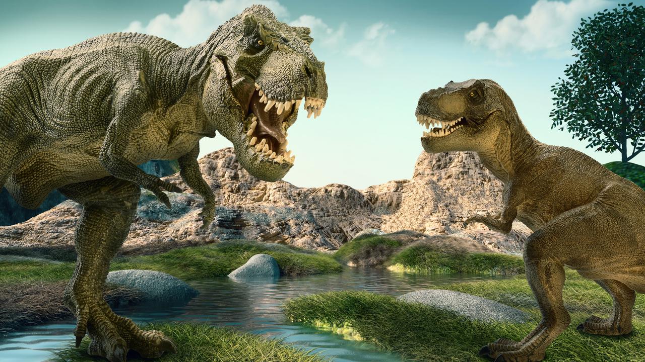 Tyrannosaurus rex should be split into three species