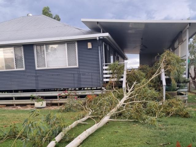 Damaging winds in Julia Creek caused trees to fall. Picture: Michelle Chaplain