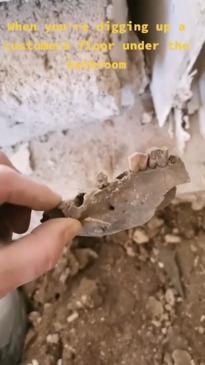 Plumber finds bones under bathroom floor