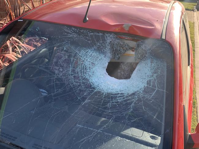 Cut firewood came free from the tray of a utility vehicle traveling on Poatina Road, Poatina. The firewood has fallen from the utility vehicle and struck the windshield of a vehicle traveling the opposite direction, causing significant damage. Picture: Supplied