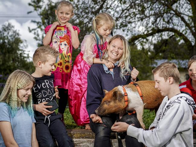 Pumpkin the rescue pig with his new family, the VogelsangÃs of Milang - Brittany (mum), Tom 14 (hoodie), Jasmine 13 (crimped hair), Natasha 9 (white shorts) Troy 8 (writing on shirt), twins Grace (pink shiny top)and Emma 6, Sunday August 16, 2020 - pic MIKE BURTON