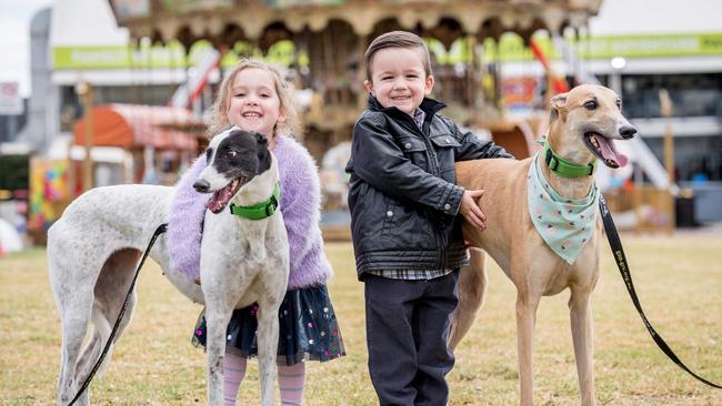 Greyhound Adoption Programme will be at Melbourne show for kids to pat and hopefully be adopted. Clara and Henry with greyhounds Nancy and Rocket. Picture: Jake Nowakowski