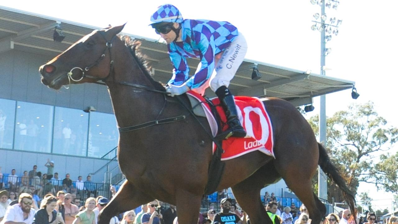 Easy first-up winner Jenni The Fox will jump sharply in class in Saturday’s Group 2 Autumn Stakes at Caulfield. Picture: Racing Photos