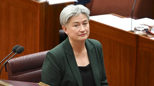 Labor Senator Penny Wong moved the motion to suspend Lidia Thorpe. Picture: NewsWire / Martin Ollman