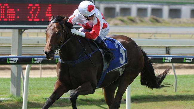 Maurus scores easily at Doomben. Picture: Grant Peters, Trackside Photography