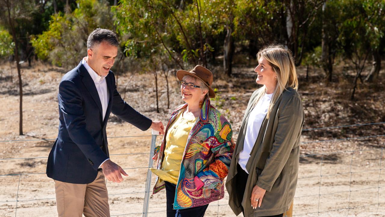 Onkaparinga Mayor Moira Were with Premier Peter Malinauskas and Davenport MP Erin Thompson. Picture: Supplied