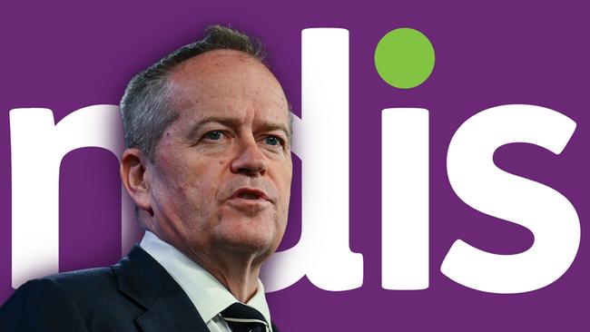 NDIS Minister Bill Shorten. Artwork: Emilia Tortorella