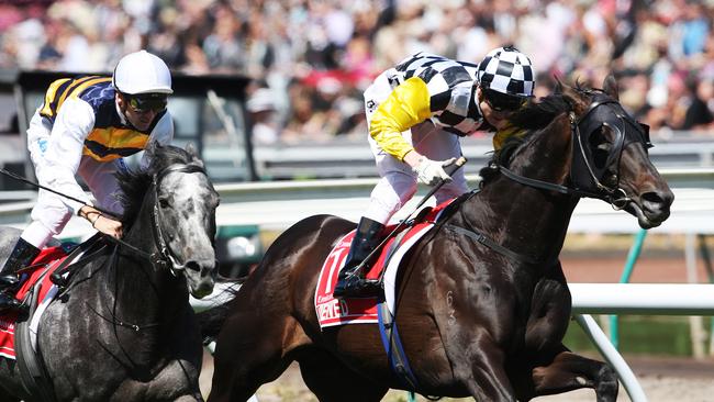 2008 Melbourne Cup at Flemington Racecourse. ( L to R ) No.12 Bauer ridden by Corey Brown finishes second behind the winner of the Melbourne Cup no.10 Viewed ridden by Blake Shinn.