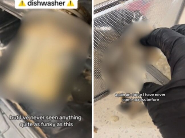 A Gold Coast cleaner - with a viral internet following - has revealed the gross growth lurking in a dishwasher. Picture: TikTok (cleanlikeapro)