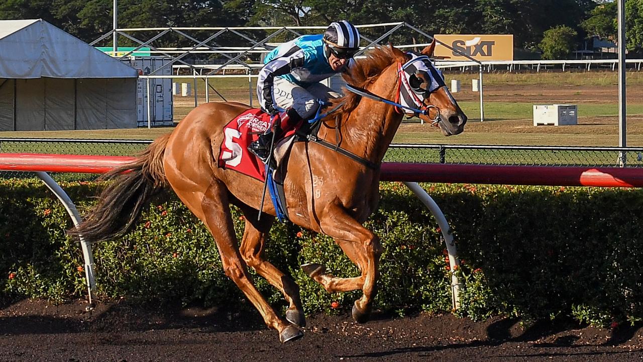 The Gary Clarke trained Wolfburn won the Bridge Toyota Cup with jockey Jarrod Todd on Ladies Day. Picture: Caroline Camilleri
