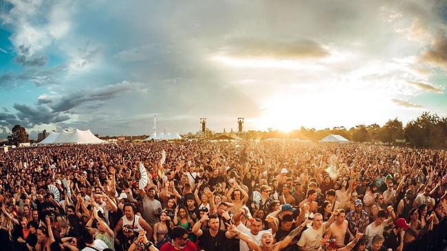 Both festivals had amnesty bins, but continued to use police sniffer dogs despite health recommendations. Picture: Instagram/@listenoutaus