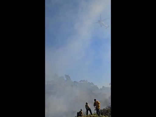 Brush Fire Breaks Out Near UC San Diego Campus as Santa Ana Winds Sweep Across