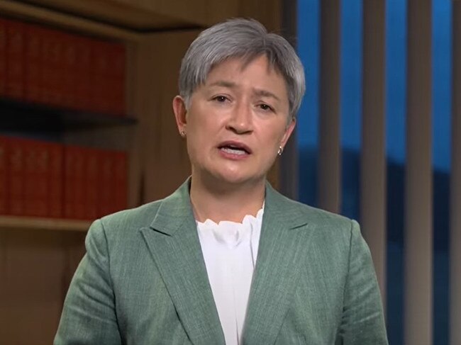 Penny Wong has lashed the incarceration of Oscar Jenkins.