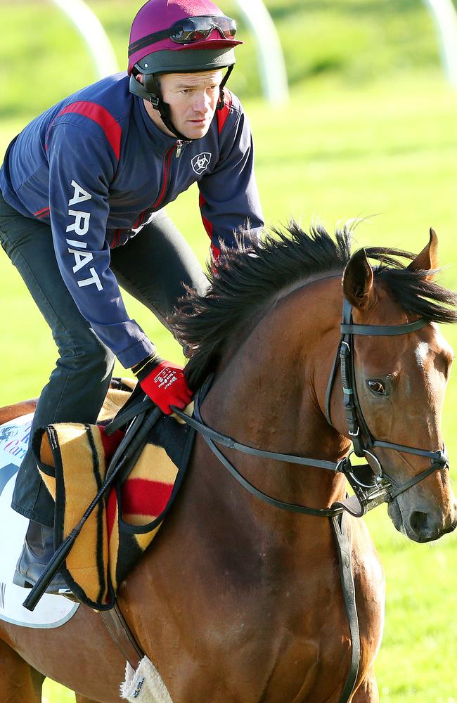 Sir Isaac Newton during a trackwork session at Werribee last year. Picture: Mark Stewart