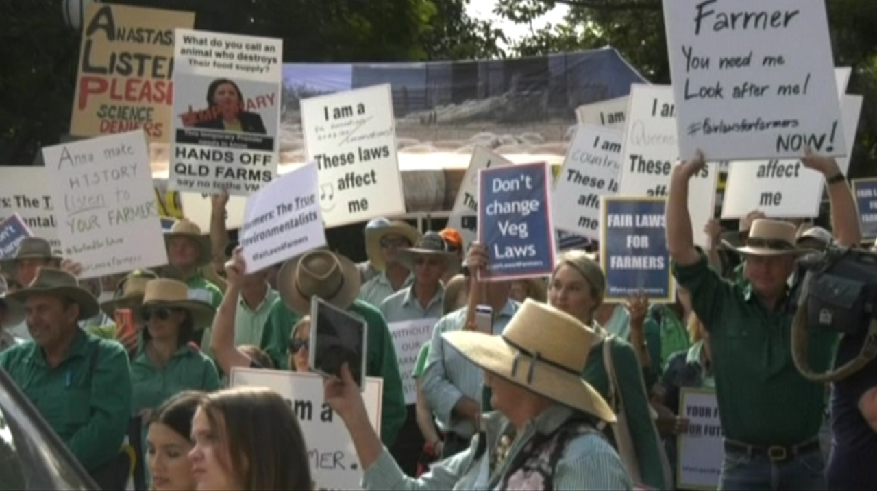  Land clearing laws could strangle Queensland crops and livestock: Farmers