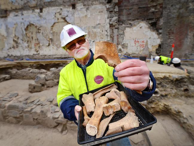 Metro Tunnel archaeological dig excavation director Geoff Hewitt with some of the cattle and sheep bones from Nichola Cooke's kitchen. Picture: Nicki Connolly