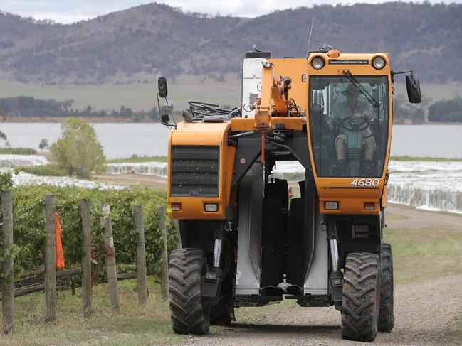 Riversdale Estate owner, Ian Roberts with his mechanical grape harvester. PICTURE: Luke Bowden