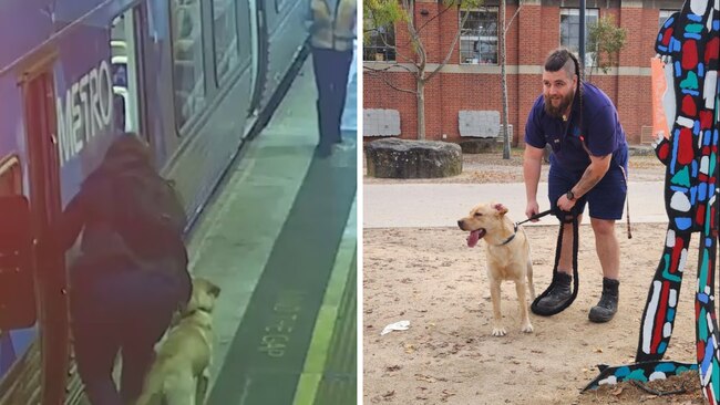 The furry fare evader had an adventure before reuniting with his family. Source: Metro Trains Melbourne