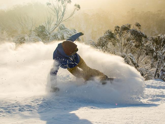 Fun in The Fresh Snow at Thredbo today. Fresh snow a perfect was to start the week in Thredbo 27-7-15. Supplied by Thredbo