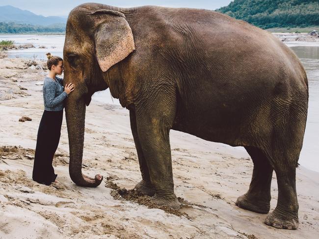 Up close with an elephant in Luang Prabang, Laos. Picture: Melissa Findley/Helloworld