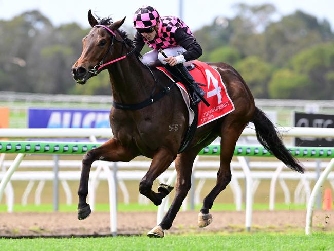 Cosmo Centaurus wins at the Sunshine Coast for jockey Bailey Wheeler. Picture: Grant Peters / Trackside Photography