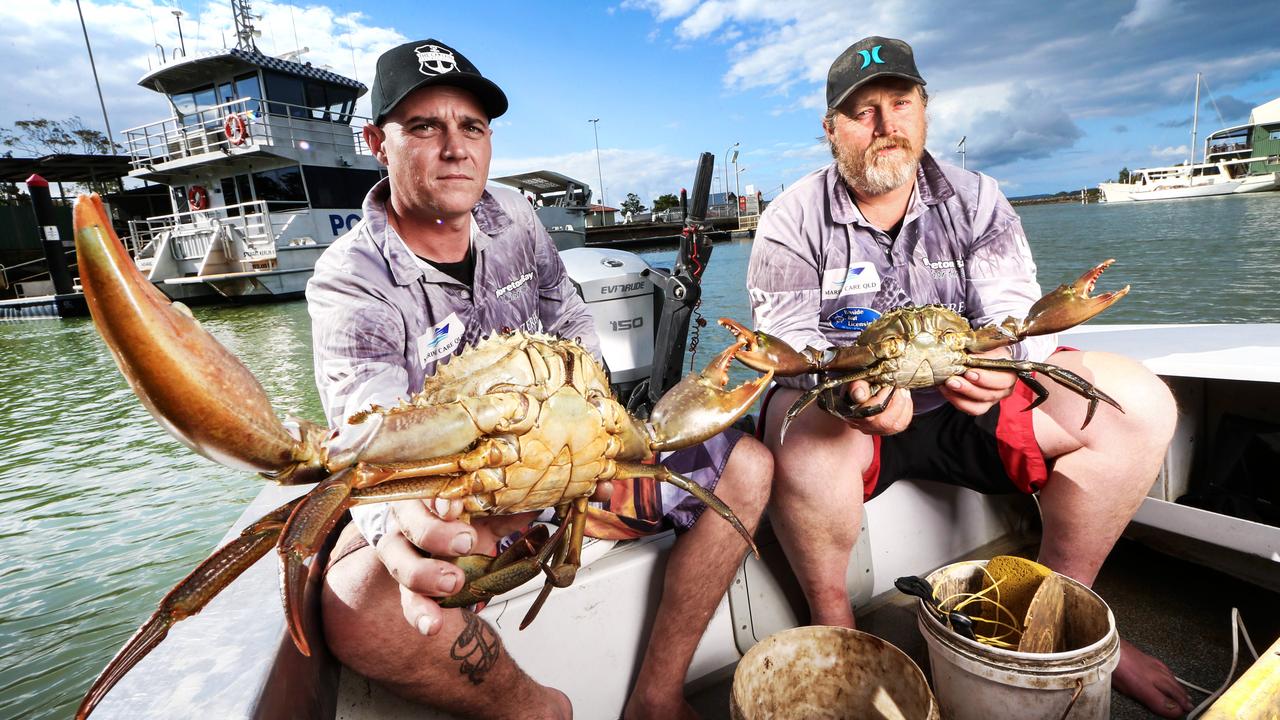 QLD mud crab quota: fisherman plan legal action against State ...