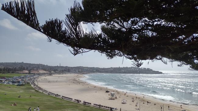 Bondi Beach this morning despite the marine warnings.