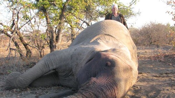 Bruce Bull in Africa.