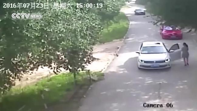 Tiger attacks a woman in Badaling Wildlife Park, China