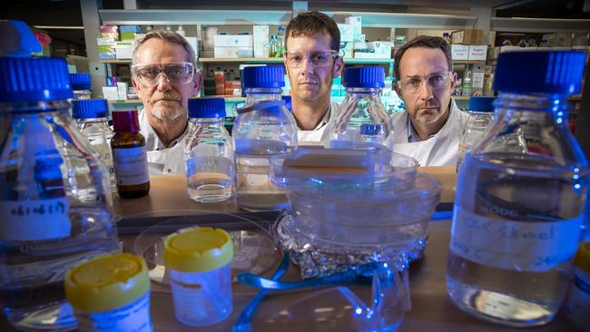 Inventors of molecular clamp vaccine for coronavirus: L-R, Professor Paul Young, Dr Keith Chappell and Professor Trent Munro in a lab at The University of Queensland. Photo: Glenn Hunt / The Australian