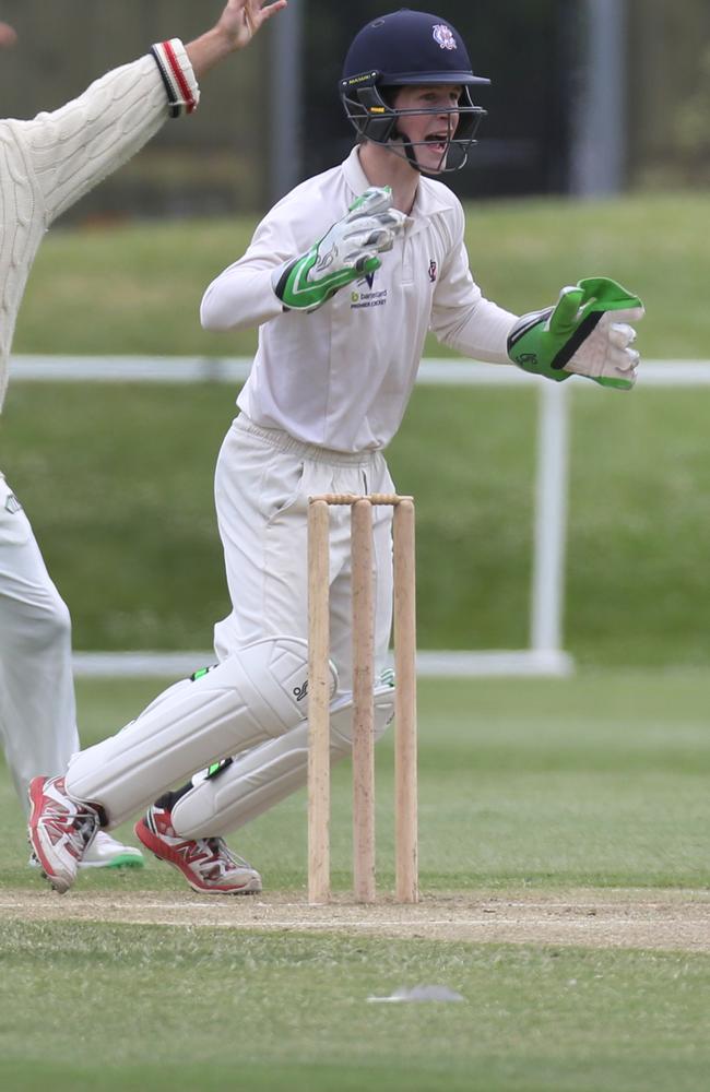 Harper celebrates a wicket for the Demons. Picture: Stuart Milligan