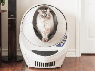 Get rid of scooping litter from your chore list with our round-up of the best self-cleaning litter boxes. Picture: Supplied.